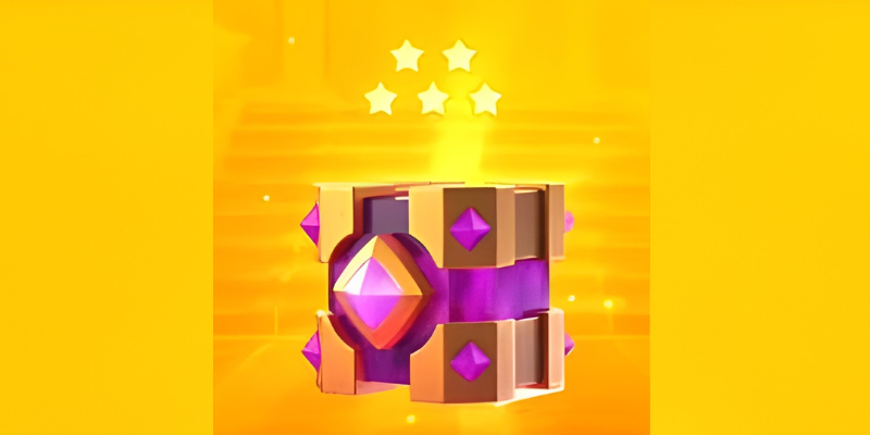 New Evolution Chest